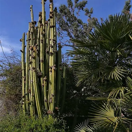 Holiday home Preciosa Villa, Plena Naturaleza,jardin Grande,rustico, Increibles Vistas, Parque Natural Montgo, *